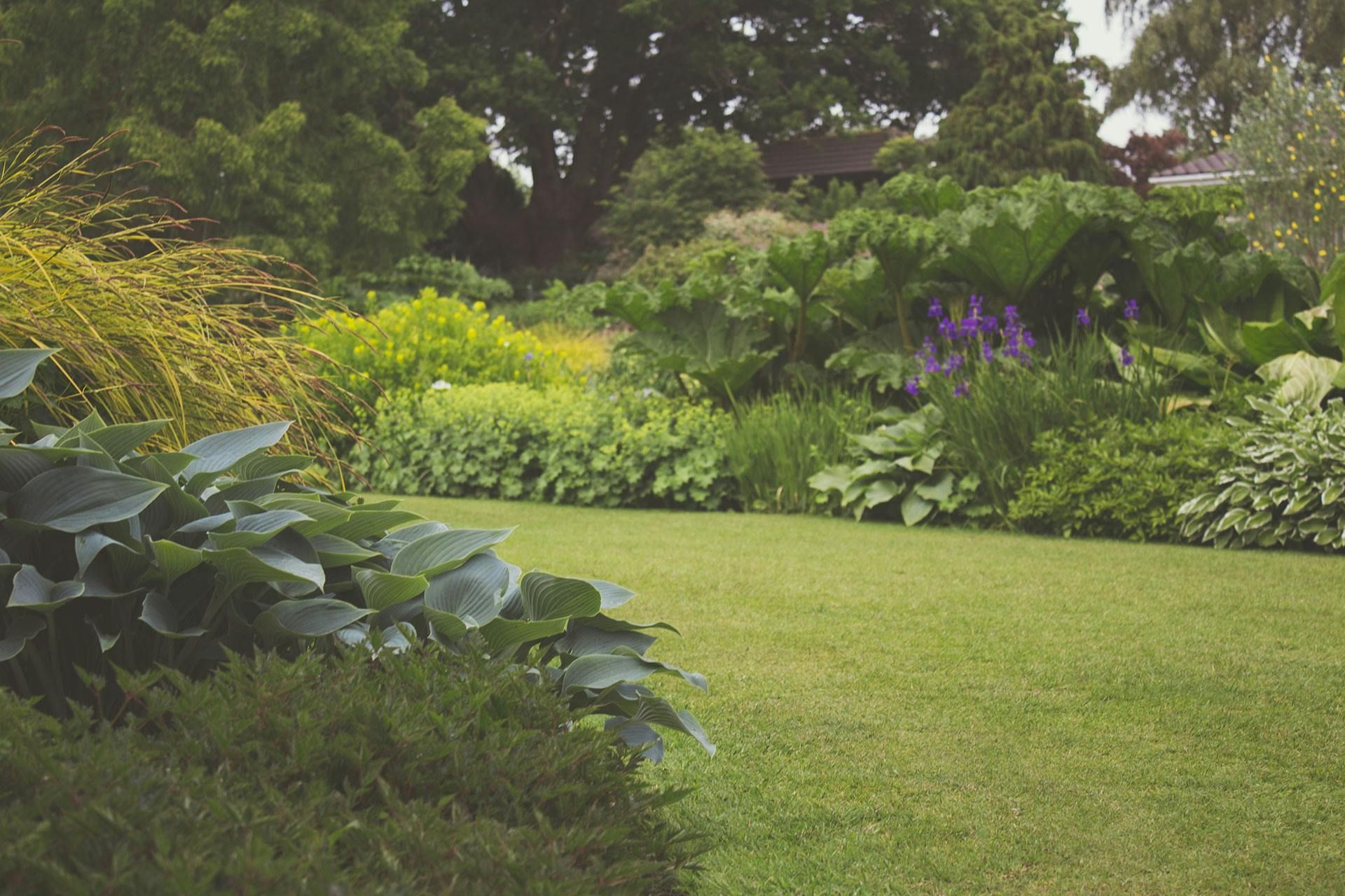 Lush professionally landscaped garden and lawn