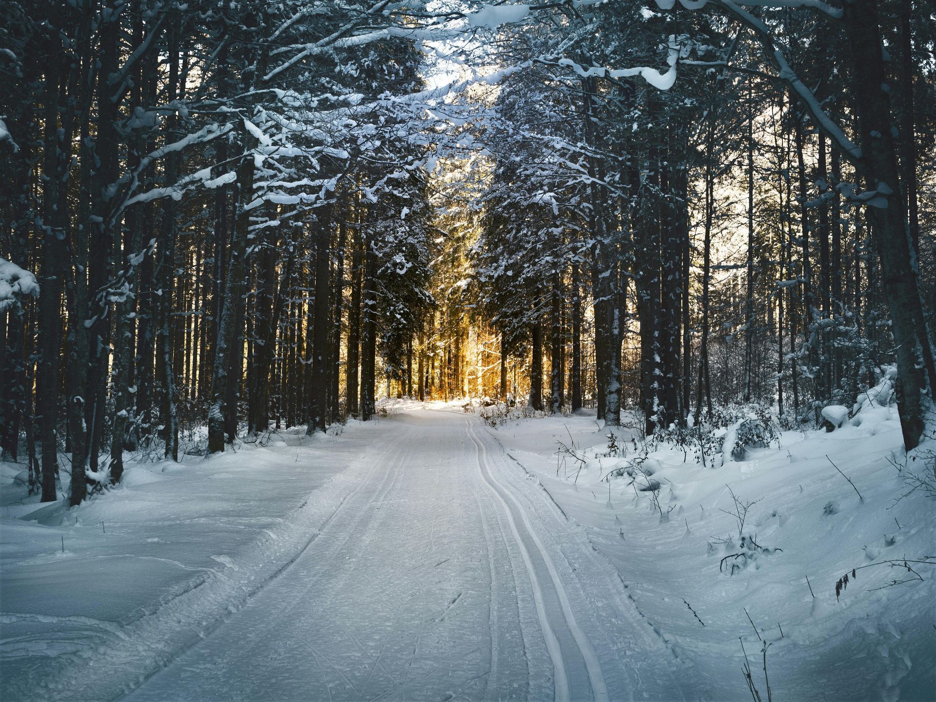 Snow-covered residential driveway and walkway
